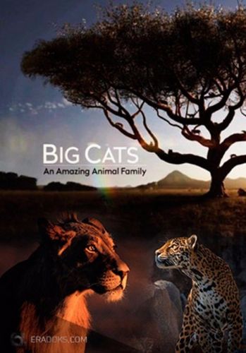  .   (1-2   2) / NAT GEO WILD. Big Cats: An Amazing Animal Family VO
