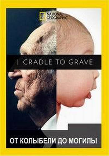     / Cradle to Grave DUB