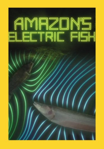    / Amazon's Electric Fish VO