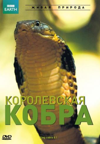   / NAT GEO WILD. King Cobra DUB