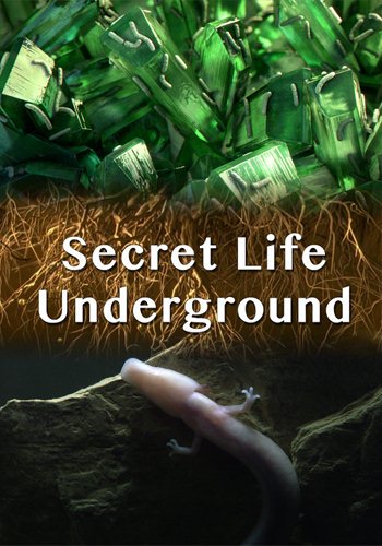    / (1-2   2) / Secret Life Underground VO