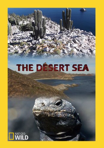   (1-2   2) / The Desert Sea VO