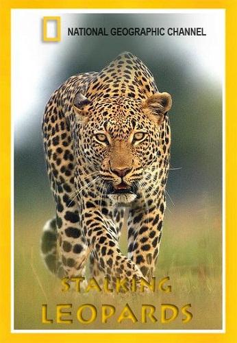   / NAT GEO WILD. Leopard Queen DUB