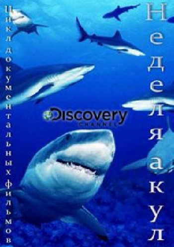   (1-8   8) / Discovery. Shark Week DUB
