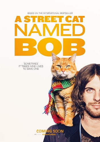      / A Street Cat Named Bob MVO