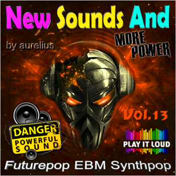 VA - New Sounds More Power Vol. 13