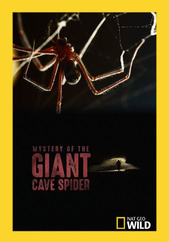     / Mystery of the Giant Cave Spider VO