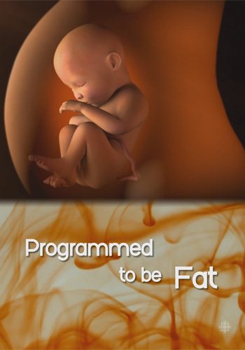  :   ? / The Nature of Things: Programmed to Be Fat? DVO