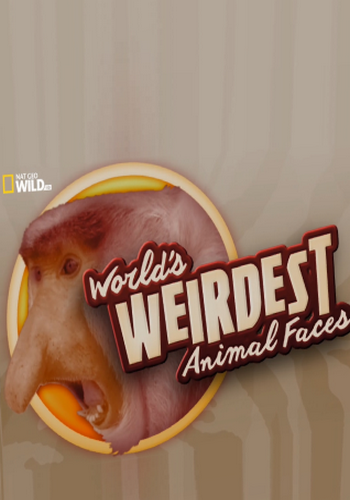      / World's Weirdest Animal Faces VO
