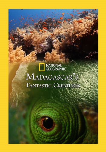    / Madagascar's Fantastic Creatures VO