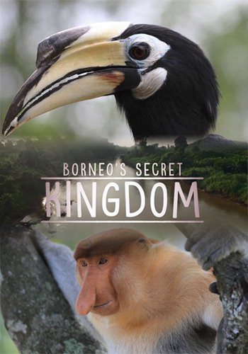   :    / Borneo's Secret Kingdom: Weird and Wild VO