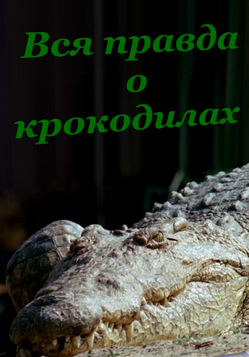     / The dark side of crocs VO