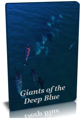   / NAT GEO WILD. Giants of the Deep Blue VO