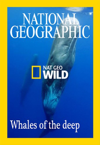   / NAT GEO WILD. Whales of the deep VO