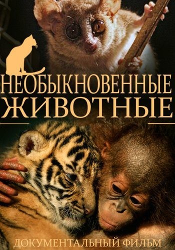   (1-4   4) / Extraordinary Animals DVO