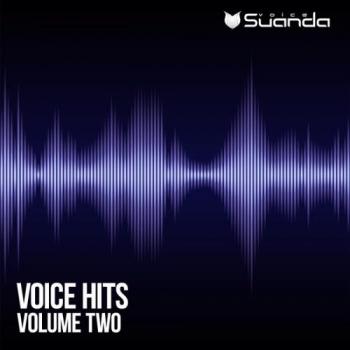 VA - Voice Hits Vol. 2