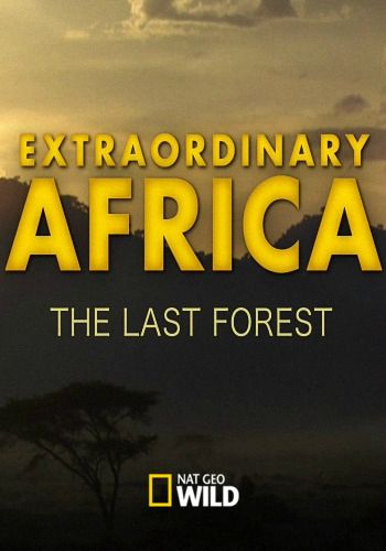  .   / NAT GEO WILD. Extraordinary Africa. The Last Forest VO