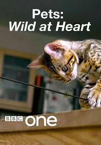  -    (1-2   2) / BBC. Pets: Wild at Heart VO