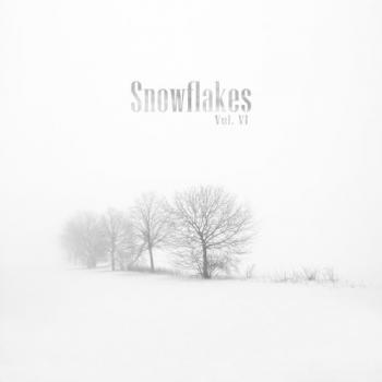 VA - Snowflakes VI