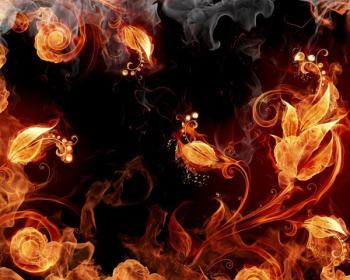 Dj Alex Spark - Fire Flower (2CD)