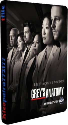  , 10  1-14  / Grey's Anatomy [Tomas]