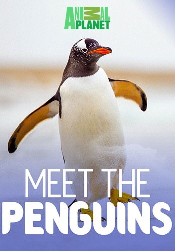    (1-8 c  8) / Animal Planet. Meet the Penguins VO