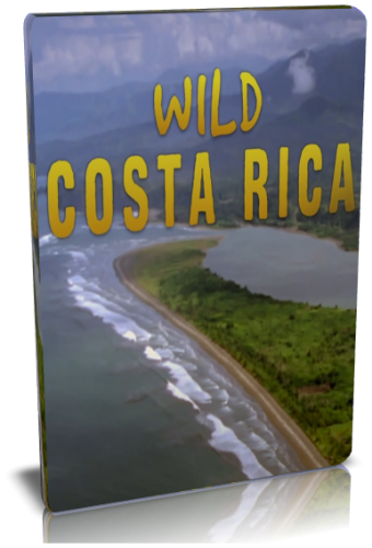  - / NAT GEO WILD. Wild Costa Rica VO