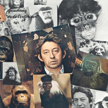 Serge Gainsbourg - Vu De L'Exterieur [24 bit 96 khz]