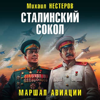 Сталинский сокол 5. Маршал авиации