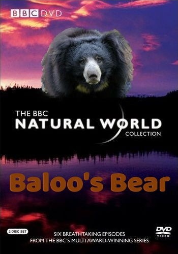   / BBC. Bear VO