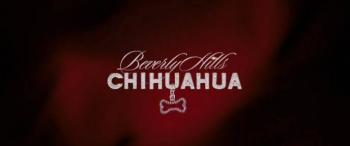   - / Beverly Hills Chihuahua DUB