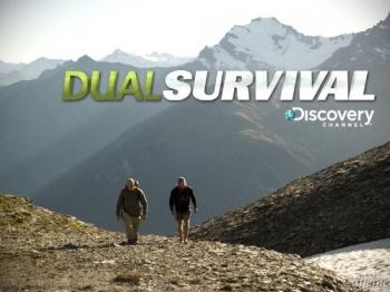   (2 , 5 ) / Dual Survival DUB