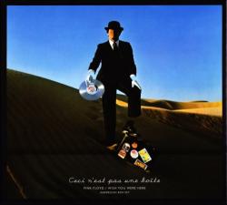 Pink Floyd - Wish You Were Here (Immersion Box - Disc 4)