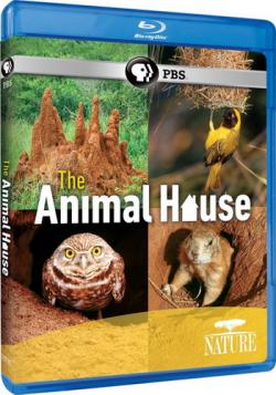 PBS:  -   / PBS: Nature - The Animal House VO