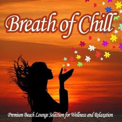VA - Breath of Chill