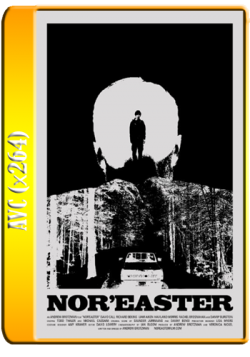 - / Nor'easter VO