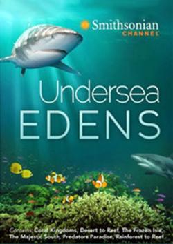   / Undersea Edens (4 ) DUB