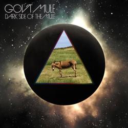 Gov t Mule - Dark Side Of The Mule 3CD