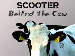 Scooter - Behind the cow