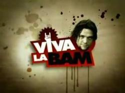   , 2-3  1-16   16 / Viva la Bam [MTV ]