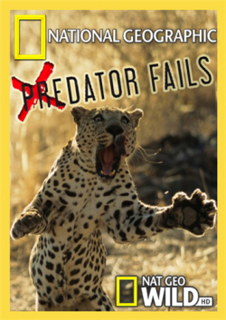 National Geographic:   (3   3) / Predator Fails VO