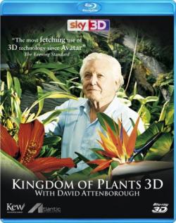   3D (3   3) / Kingdom of Plants 3D VO