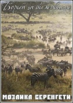   .   / Kingdoms of Survival. Serengeti Jigsaw VO