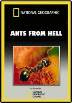    / National Geographic: Ants From Hell