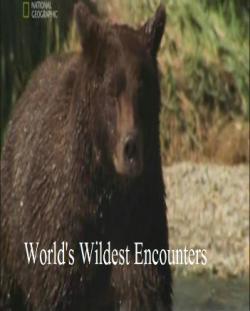     / National Geographic. World's Wildest Encounters