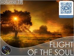 VA - Flight Of The Soul vol.19