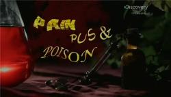 Discovery.  .  / Pain Pus & Poison VO