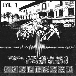VA - Лучшие хитовые треки в стиле Electro, Deep, Techno House и Trance от LORDEGRAF vol. 7