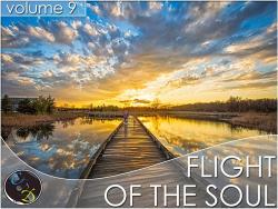 VA - Flight Of The Soul vol.9