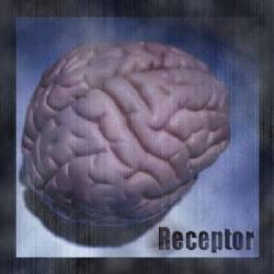 Receptor - No Sleep